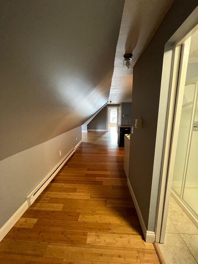 Apartment view from entrance (bathroom at right, bedroom at far end) - 87 S State St