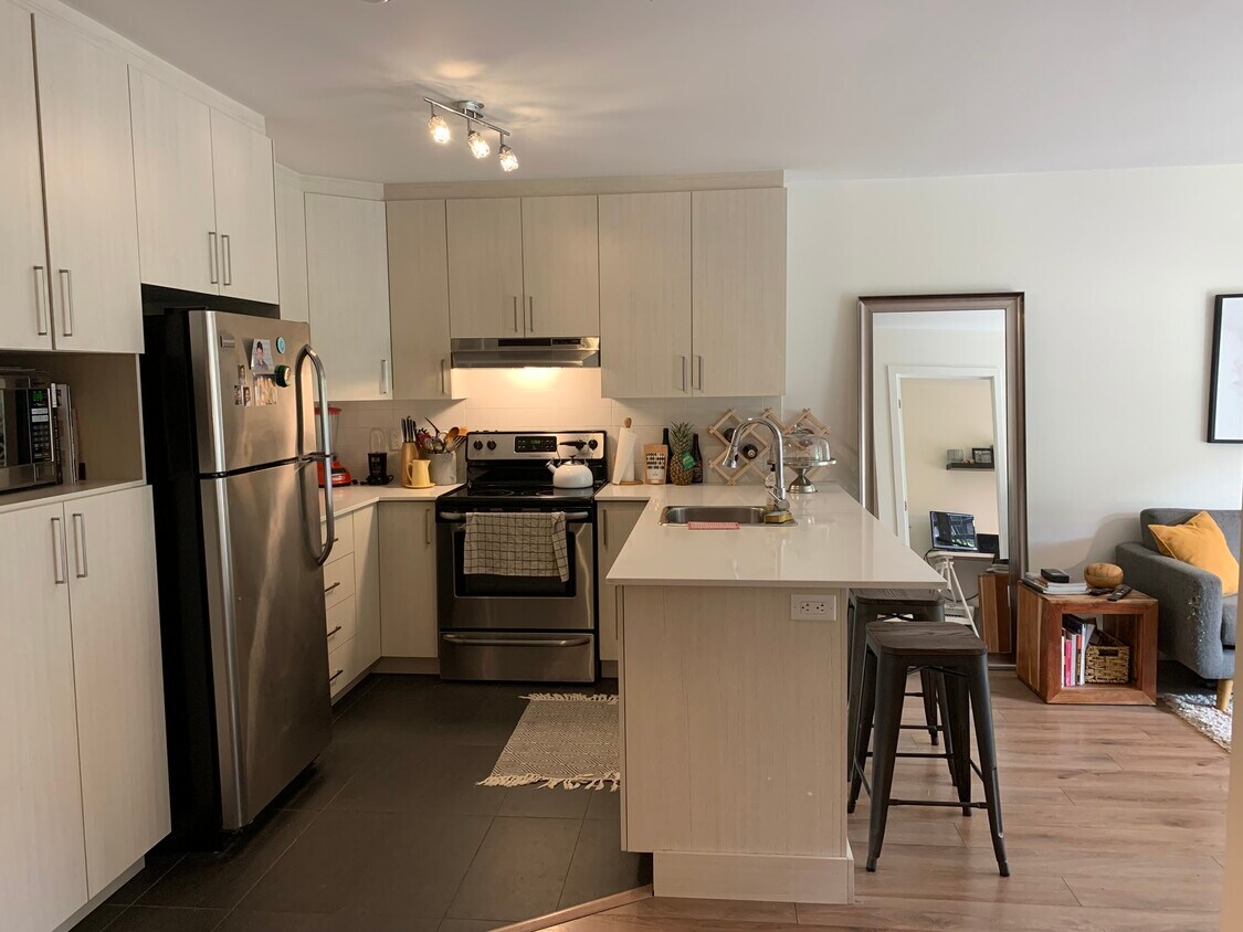 Le Rolland Apartments for rent Saint Henri Apartments 575 De