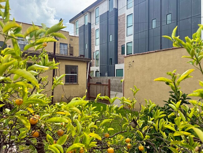 Foto del edificio - 1807 S Redondo Blvd