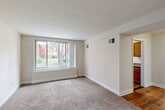 Located at 6707 Hawthorne St in Hyattsville, MD, this single-floor, one-bedroom, one-bathroom residence offers a thoughtfully organized layout across a compact yet functional footprint. The combined living and dining area serves as the heart of the home, featuring neutral-toned carpet, clean white walls, and a large picture window that fills the space with natural light and provides views of the surrounding greenery. The layout transitions seamlessly to an adjacent kitchen, distinguished by warm honey-toned wood cabinetry, granite-style countertops, a stainless steel sink, and hardwood flooring. A window above the kitchen area brings in additional natural light. The bedroom is a well-sized, carpeted retreat with two large sliding closet doors offering generous storage, and windows that overlook the outdoor landscape. In total, the unit includes four closets, providing ample storage throughout. The full bathroom features a tiled tub-shower combination, a wood-framed vanity with a single sink, a medicine cabinet mirror, and stone-look tile flooring. A connecting hallway links the rooms efficiently. Overall, the residence presents a clean, neutral palette with consistent finishes throughout.