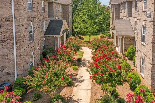 Building Photo - The Phoenix Apartments