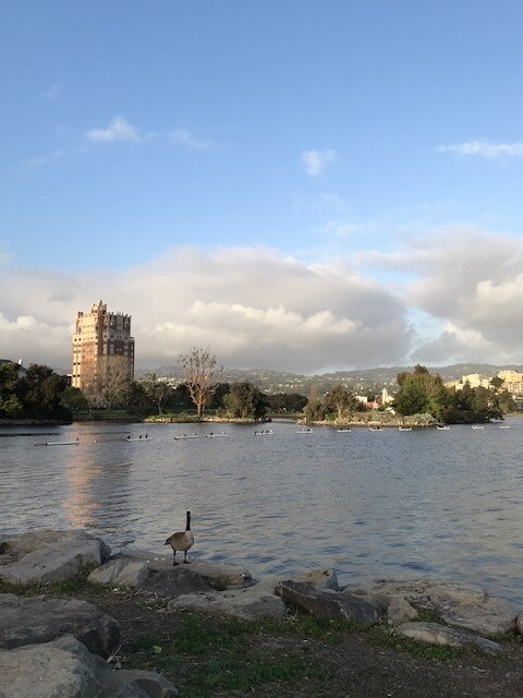 CAMINA UNA CUADRA HASTA EL LAGO MERRITT - 282 Van Buren Ave