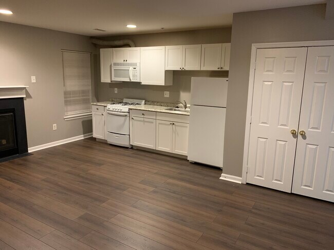NEWLY ADDED BASEMENT KITCHEN - 9705 Tulip Tree Dr