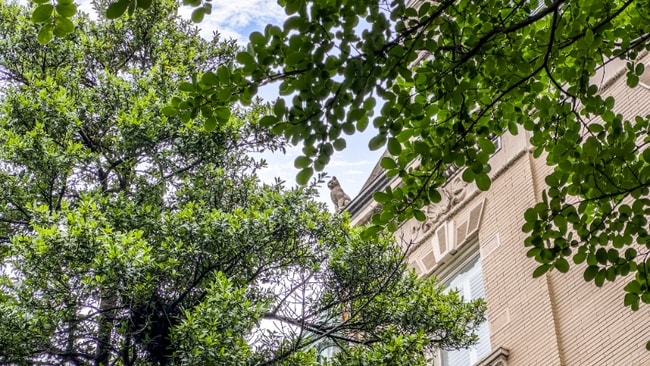 Building Photo - 2201 Massachusetts Ave NW