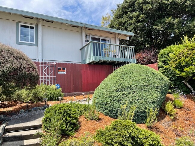 Photo - Gorgeous three bedroom two bathroom home with large backyard for rent!