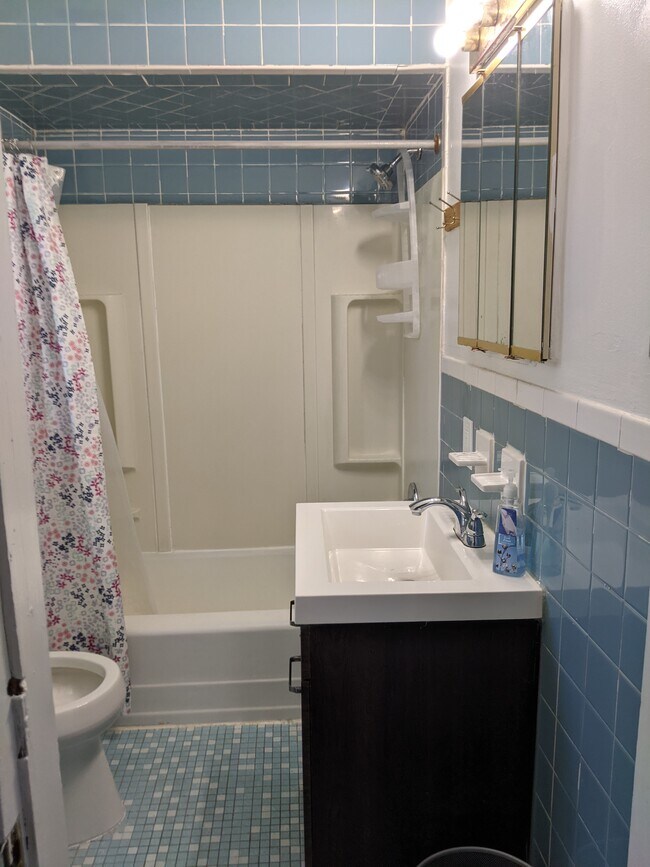 Bath - 82 Mount Pleasant Ave