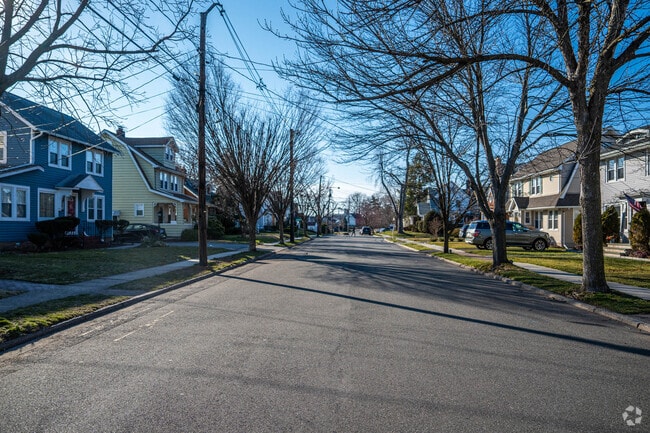 Tree-lined streets in Maywood.