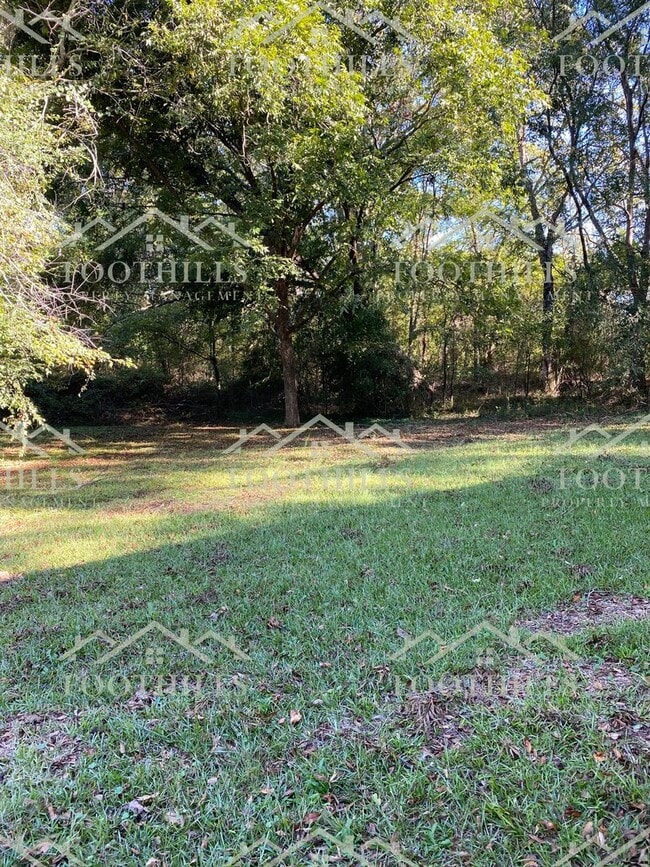 Building Photo - 115 Holliday Ln