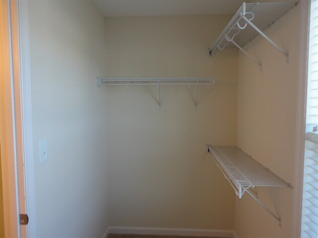 Building Photo - 2825 Tulip Poplar Cir