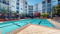 This outdoor amenity space is centered around a generously sized swimming pool with vibrant turquoise water and a distinctive grid-tile pattern across its floor. The pool is set within a well-designed courtyard that is framed on multiple sides by a multi-story residential building, whose facade features a mix of gray and brick-red tones, large windows, and private balconies on each level. The surrounding deck is finished with neutral-toned pavers and fitted with rows of lounge chairs and seating areas positioned to take full advantage of the open sky above.

The courtyard's landscaping adds visual variety and warmth, with ornamental trees — including striking red-leafed specimens — and raised planters distributed throughout the perimeter. Market umbrellas provide shaded gathering spots, while iron fencing marks the boundary of the pool area. Mature trees and greenery soften the building facades and contribute to a comfortable, resort-like atmosphere.

The space benefits from abundant natural light throughout the day, given its open-air orientation. The combination of the crisp pool water, lush plantings, and the architectural backdrop of the surrounding building creates a cohesive and inviting outdoor environment well-suited for relaxation and recreation.