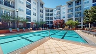 This outdoor amenity space is centered around a generously sized swimming pool with vibrant turquoise water and a distinctive grid-tile pattern across its floor. The pool is set within a well-designed courtyard that is framed on multiple sides by a multi-story residential building, whose facade features a mix of gray and brick-red tones, large windows, and private balconies on each level. The surrounding deck is finished with neutral-toned pavers and fitted with rows of lounge chairs and seating areas positioned to take full advantage of the open sky above.

The courtyard's landscaping adds visual variety and warmth, with ornamental trees — including striking red-leafed specimens — and raised planters distributed throughout the perimeter. Market umbrellas provide shaded gathering spots, while iron fencing marks the boundary of the pool area. Mature trees and greenery soften the building facades and contribute to a comfortable, resort-like atmosphere.

The space benefits from abundant natural light throughout the day, given its open-air orientation. The combination of the crisp pool water, lush plantings, and the architectural backdrop of the surrounding building creates a cohesive and inviting outdoor environment well-suited for relaxation and recreation.