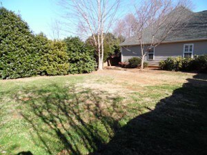 Building Photo - 3 Magnolia Place Ct