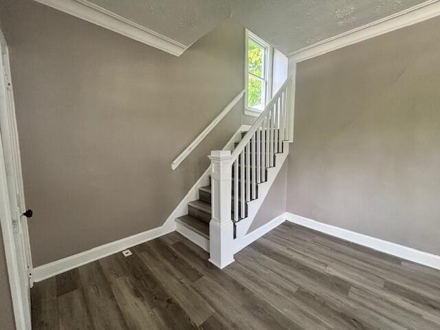 Foto del edificio - 827 Fairwood Ave