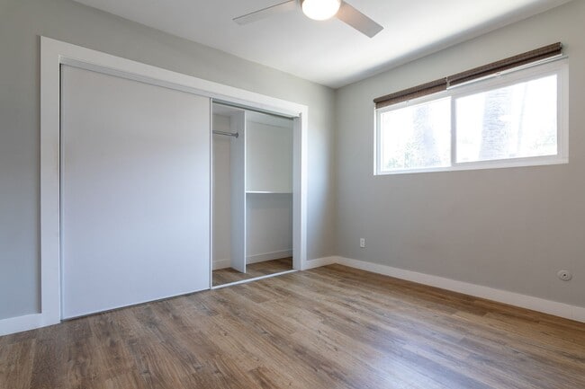Interior Photo - Spacious Apartments
