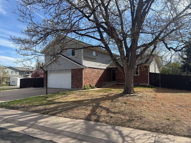 Building Photo - Bear Valley Home