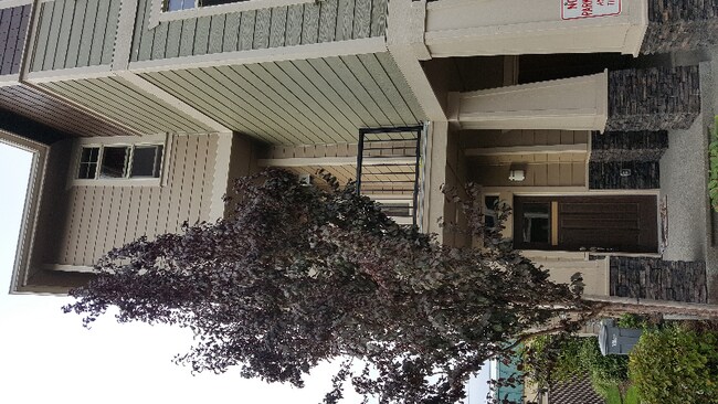 Foto del edificio - 3800 NE 3rd Pl
