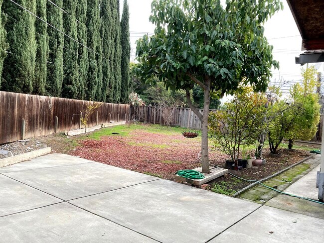 Building Photo - 2060 Amberwood Ct
