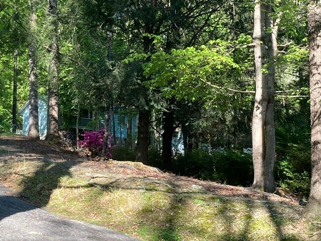 Foto del edificio - Cozy Cottage in Hendersonville