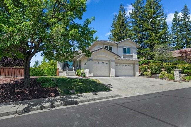 Building Photo - Gorgeous Bettencourt Ranch Home