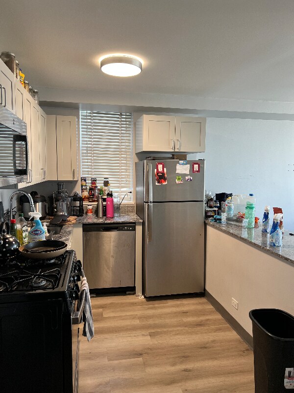 3001 S Martin Luther King Dr Unit 807, Chicago, IL 60616 Room for