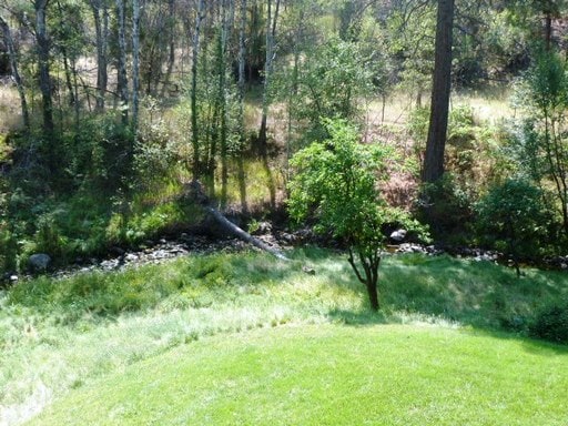 Building Photo - 217 Canyon Creek Rd