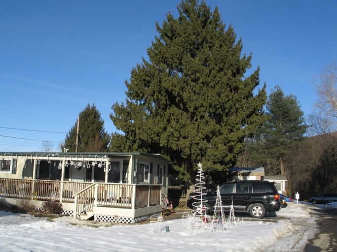 Building Photo - Nanticoke Mobile Home Park