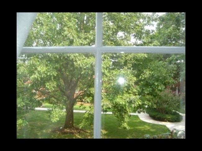 Lots of Natural Light! - 715 S Washington St