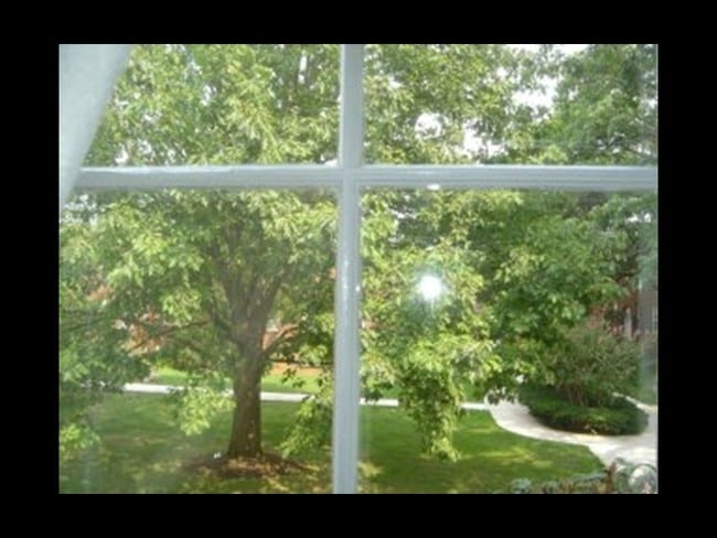 Lots of Natural Light! - 715 S Washington St