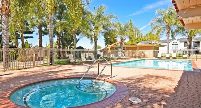 Pool - Rancho Mesa