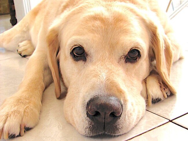 Foto del edificio - 653 TX-337 Loop