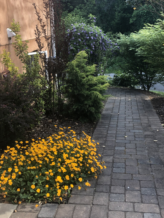 Fully Paved Driveway & Apartment Path - 336 Chunns Cove Rd