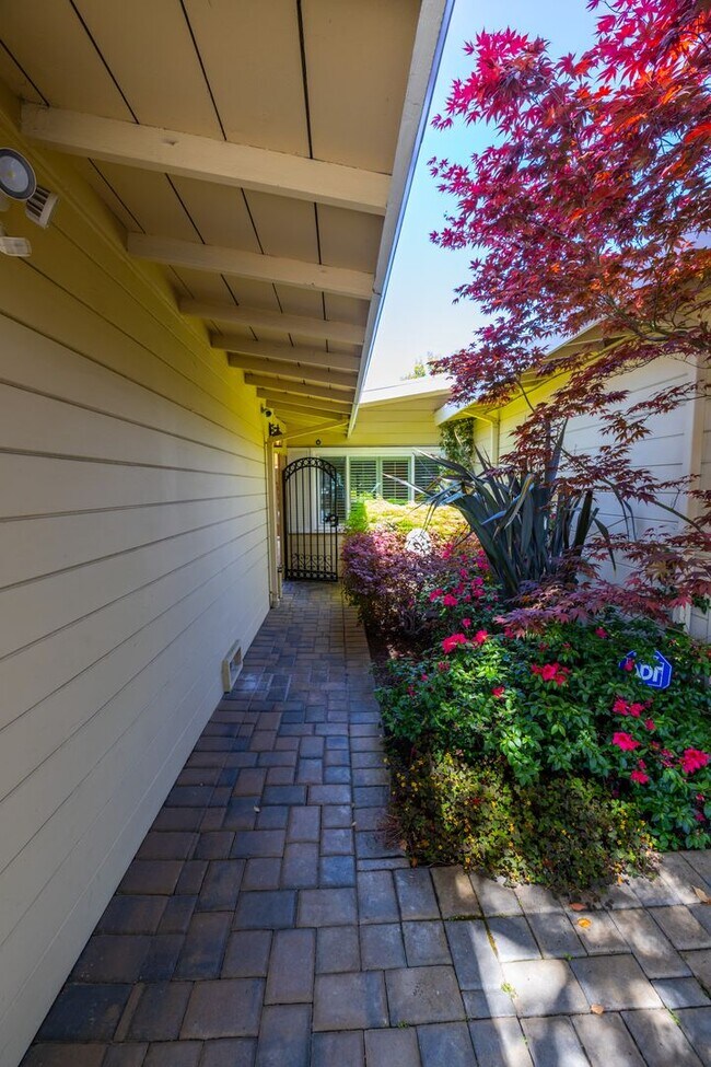Foto del edificio - Beautiful Mid-Century Modern Home Across from Mitchell Park