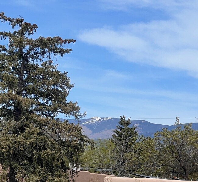 Building Photo - 1022 Don Diego Ave