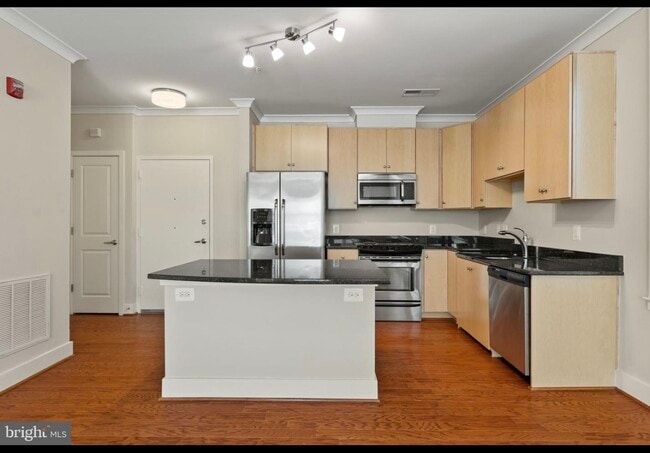 High end cabinetry, quartz countertops, stainless steel appliances - 815 N Patrick St