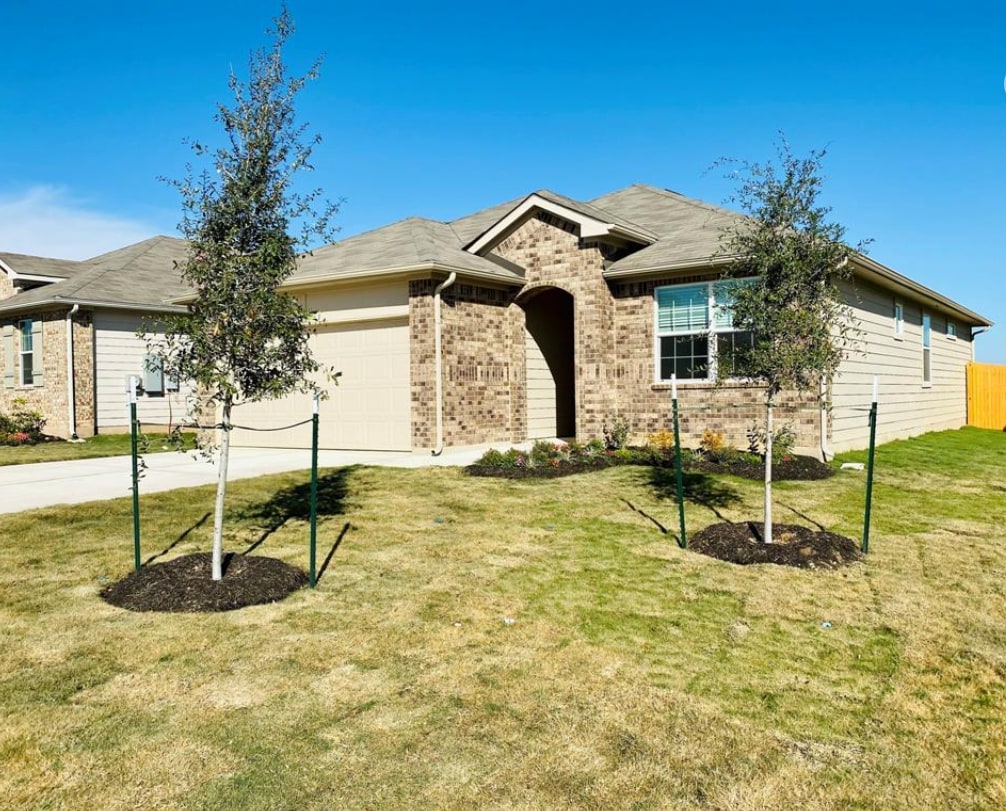 1033 Ferryman Dr, TX 78626 House Rental in TX