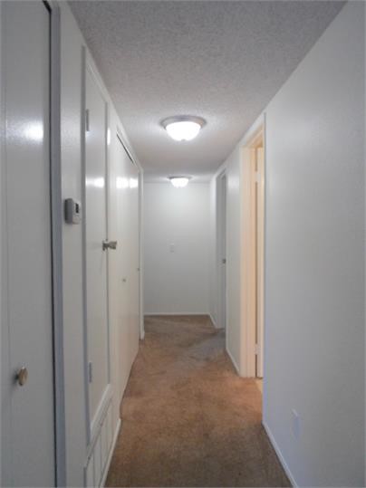 Building Photo - 8627 Lemon Ave