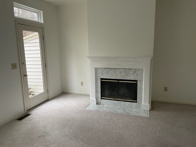 Fireplace - 6557 Silverfox Dr