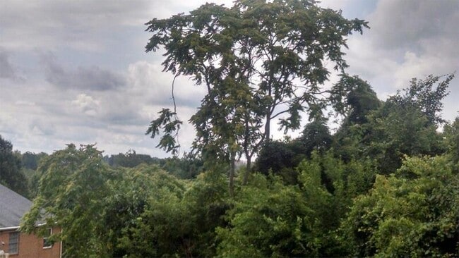 Foto del edificio - 3811 Swann Rd