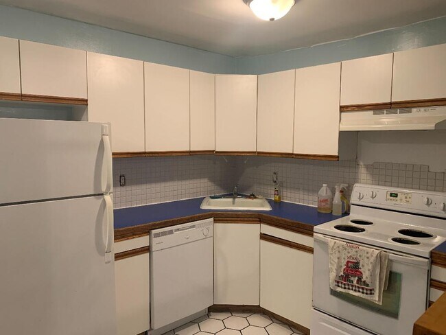 Kitchen w new DS - 735 Greens Ave