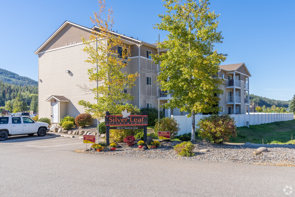 Primary Photo - Silver Leaf Apartments