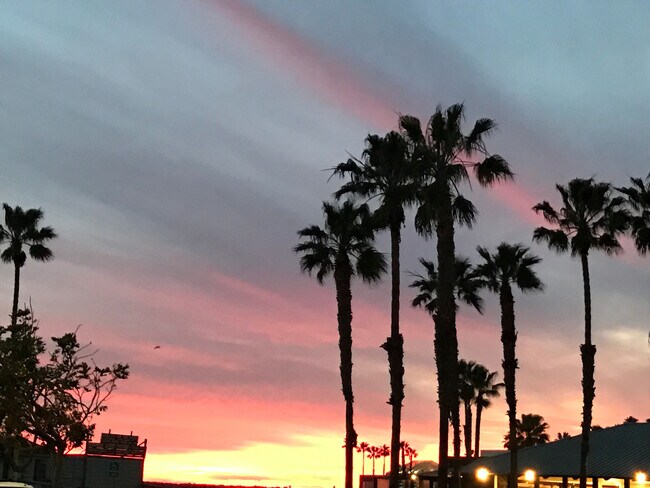 Building Photo - 628 S Pacific Coast Hwy