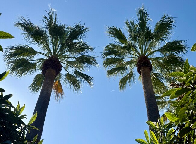 Foto del edificio - Country Club Villas