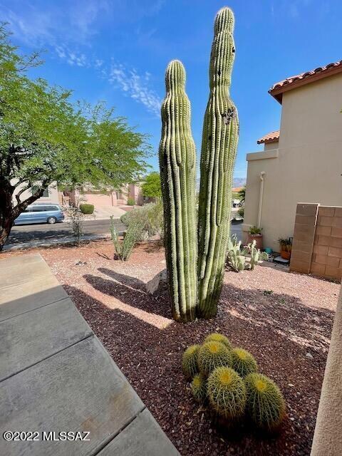 Building Photo - 780 N Promontory Dr
