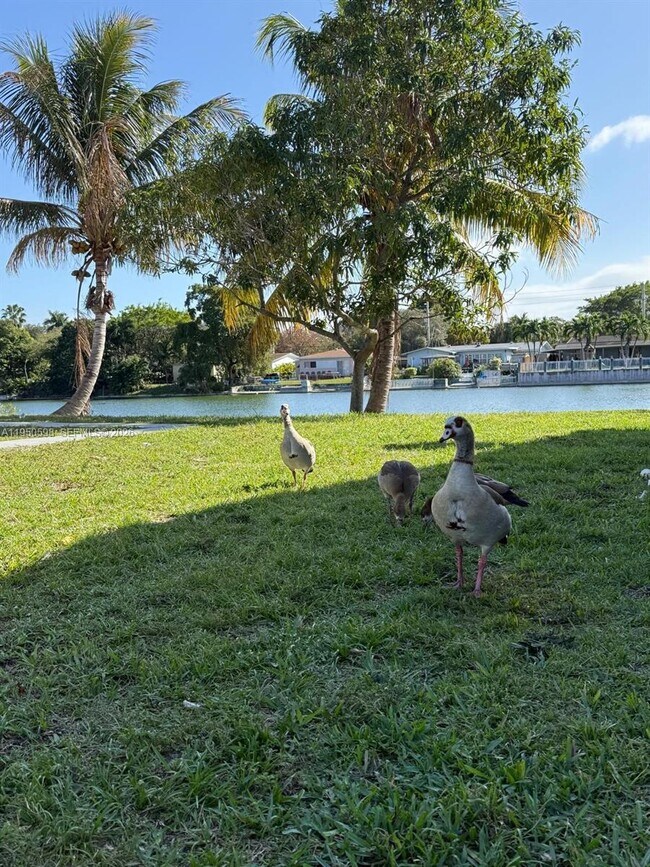 Foto del edificio - 1054-1058-1058 SW 2nd St