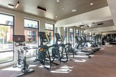 Located at 2230 Calle de Luna in Santa Clara, CA, this well-appointed fitness center offers a thoughtfully designed, single-floor layout that provides ample space for a comprehensive workout experience. The facility features a clean, contemporary aesthetic characterized by a warm wood-paneled tray ceiling with recessed lighting and sleek linear pendant fixtures, complemented by crisp white walls and light-toned flooring throughout.

Large windows line the perimeter of the space, flooding the interior with abundant natural light and offering views of the surrounding outdoors, creating an open and energizing atmosphere. The cardio zone is well-equipped with a row of treadmills, elliptical trainers, and cycle machines positioned to take advantage of the natural light from the windows. Adjacent to this area, a dedicated strength training section houses a variety of cable and resistance machines.

Toward the rear of the facility, a functional training zone features a fully stocked free weights area with an organized rack system holding dumbbells, kettlebells, and medicine balls, alongside a cable functional trainer. Wall-mounted televisions are strategically placed throughout the space for entertainment during workouts. A large mirror along one wall enhances the sense of depth and space. The facility is accessed via glass double doors, reinforcing its bright and welcoming character.