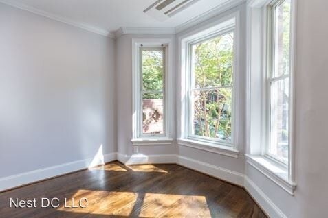 Primary Photo - 3160 18th St NW