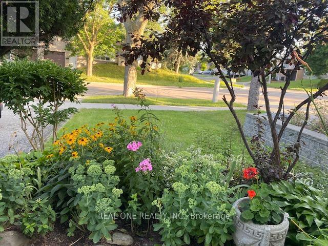 Building Photo - 334 Chester Le Blvd