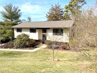 Building Photo - 19 Village Ct
