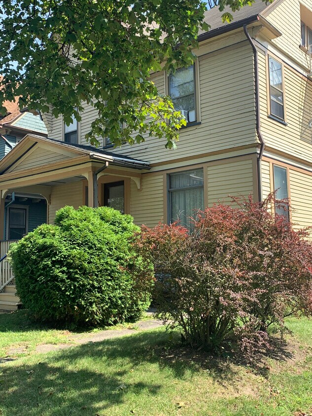Primary Photo - 466 Alexander St