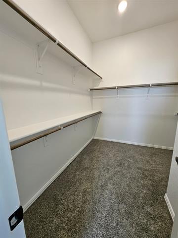 Foto del edificio - 7205 Bird Cherry Ln
